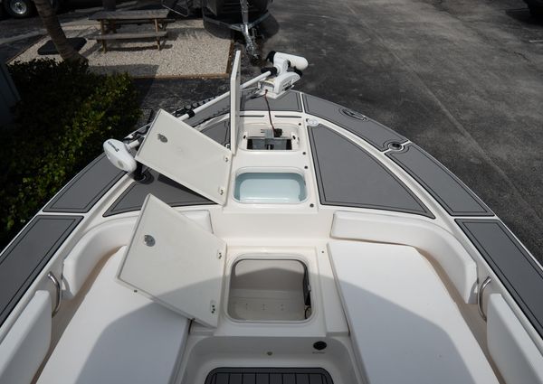 Robalo 246-CAYMAN image