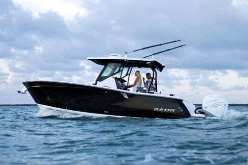 Blackfin 272-CC image