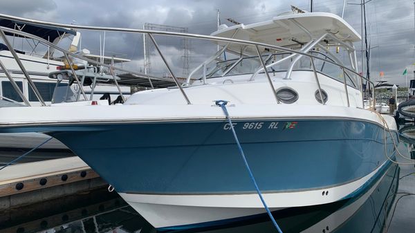 Seaswirl Striper 2901 Walkaround O/B