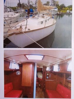 Cape Dory 36 image