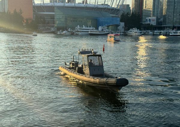 Usmi 11-METER-NSW-RIB image