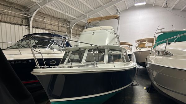 Bertram 31