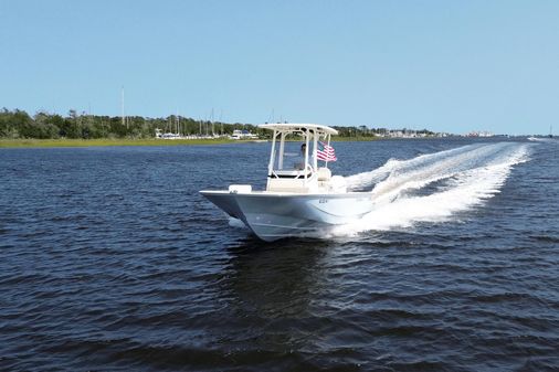 Boston Whaler 210 Montauk image