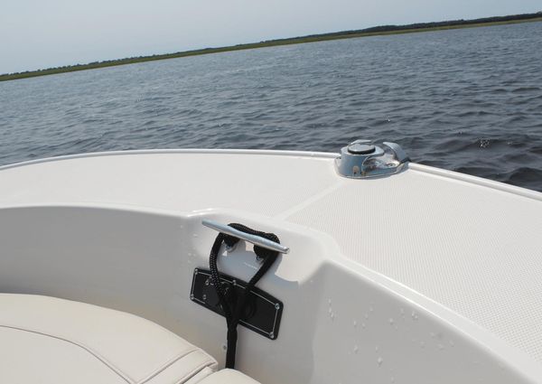 Boston Whaler 210 Montauk image