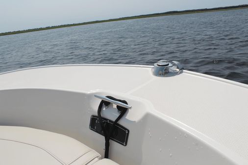 Boston Whaler 210 Montauk image