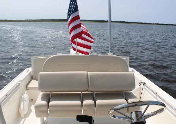 Boston Whaler 210 Montauk image