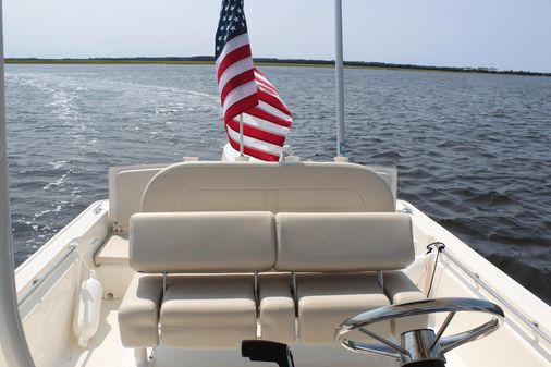 Boston Whaler 210 Montauk image