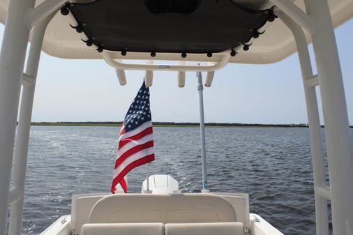 Boston Whaler 210 Montauk image