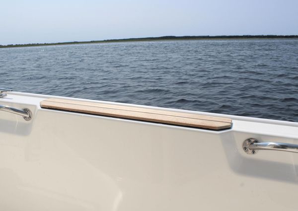 Boston Whaler 210 Montauk image