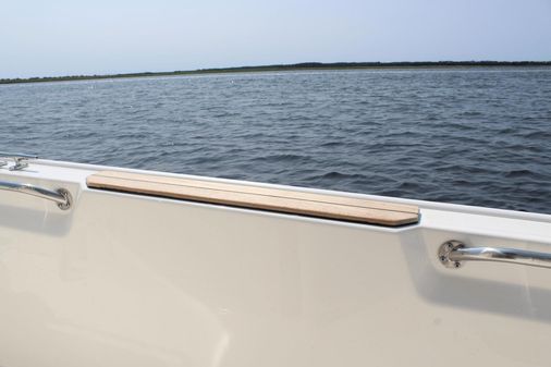 Boston Whaler 210 Montauk image