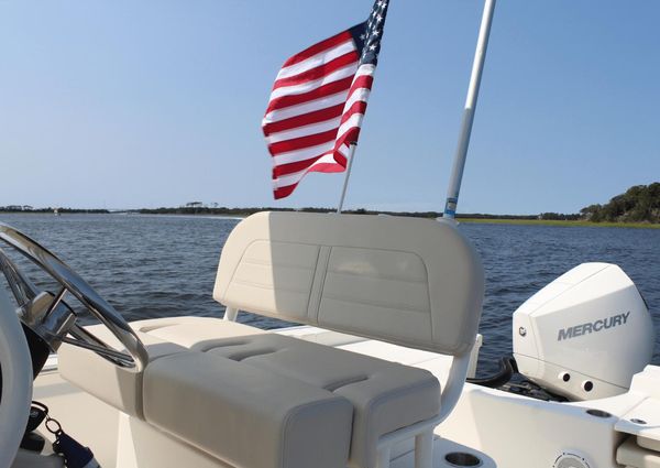 Boston Whaler 210 Montauk image