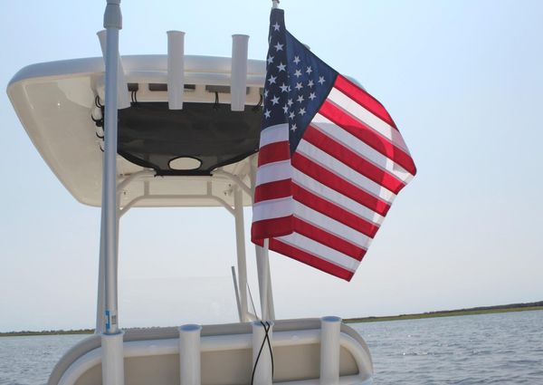 Boston Whaler 210 Montauk image