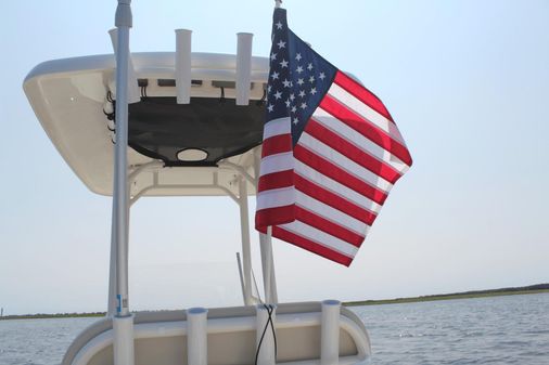 Boston Whaler 210 Montauk image