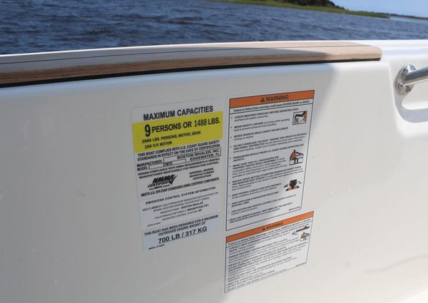 Boston Whaler 210 Montauk image