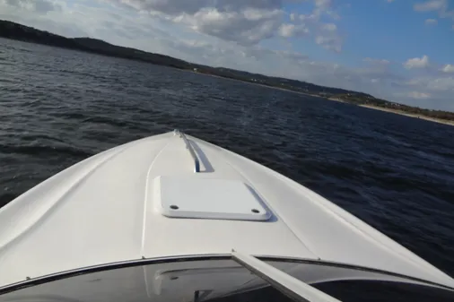 Wellcraft 26 Scarab image