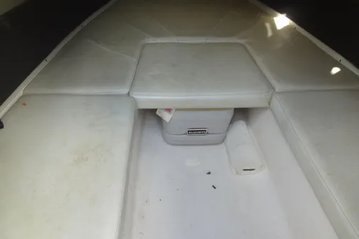 Wellcraft 26 Scarab image