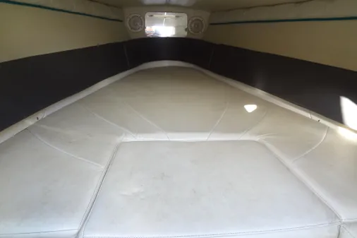 Wellcraft 26 Scarab image