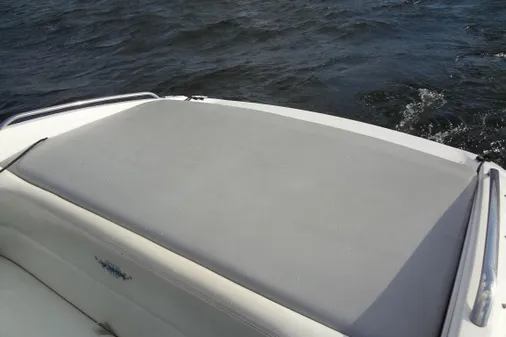 Wellcraft 26 Scarab image