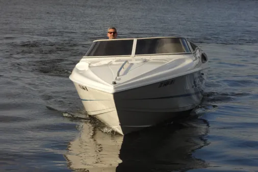 Wellcraft 26 Scarab image