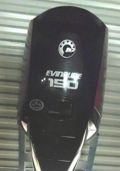 Evinrude E150DGXAB image