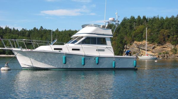 Norstar 302