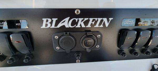 Blackfin 252 CC image