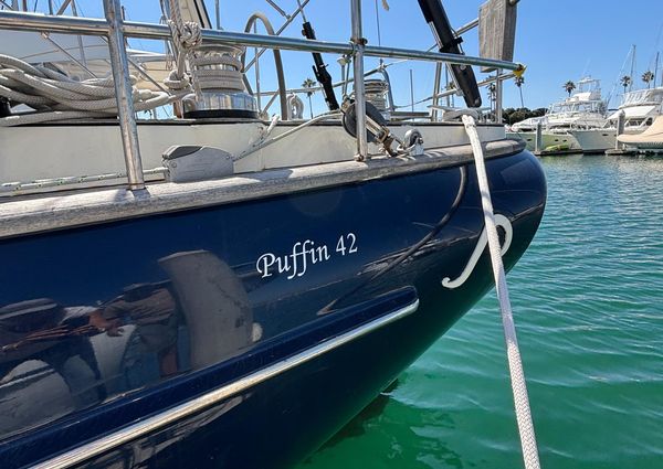 Puffin 42 image