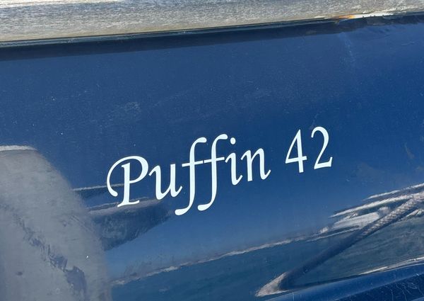 Puffin 42 image