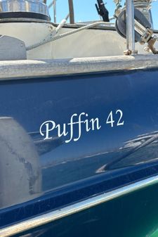 Puffin 42 image