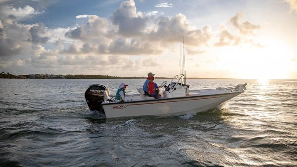 Boston Whaler 170 Montauk 