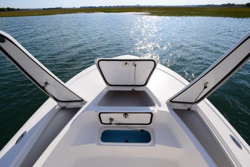 Tidewater 2110 Bay Max image