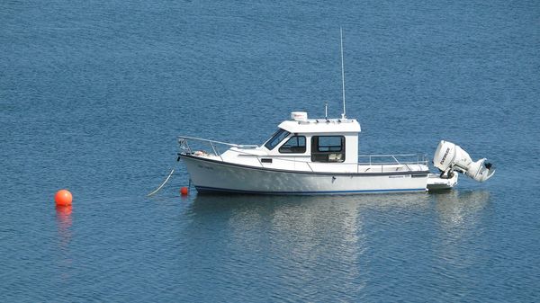 Custom Royalsea 23