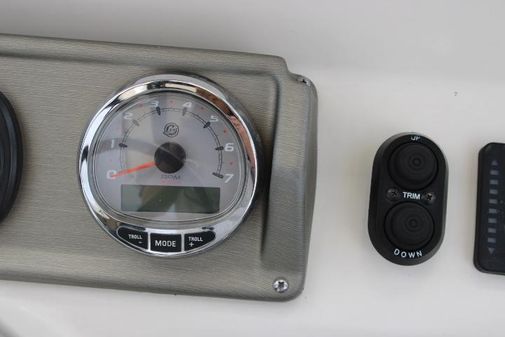 Triton 24 LTS image