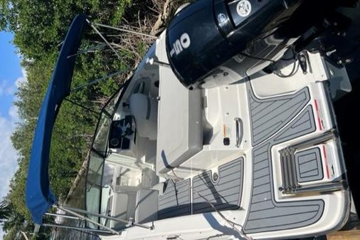 Sea-ray 19SPX-OUTBOARD image
