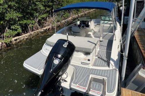 Sea-ray 19SPX-OUTBOARD image