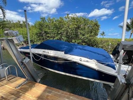 Sea-ray 19SPX-OUTBOARD image