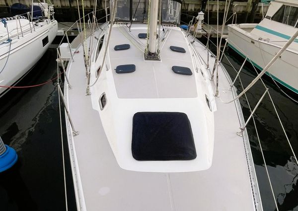 Catalina 445 image