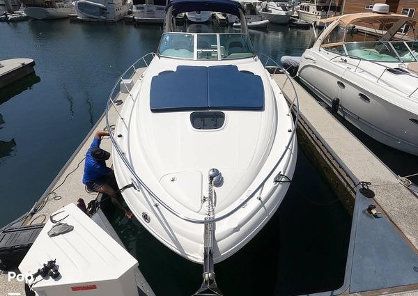 Sea Ray 340 Sundancer image