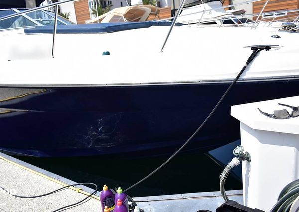 Sea Ray 340 Sundancer image