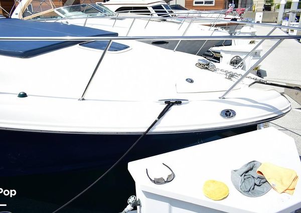 Sea Ray 340 Sundancer image