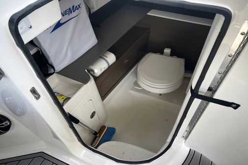 Sea Ray 290 SDX OUTBOARD image