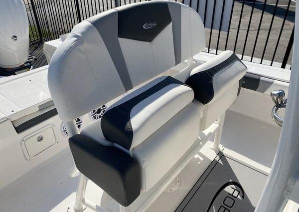 Robalo 246 image