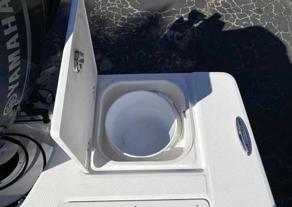 Robalo 206 image