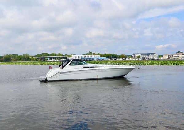 Sea Ray 500 Sundancer image