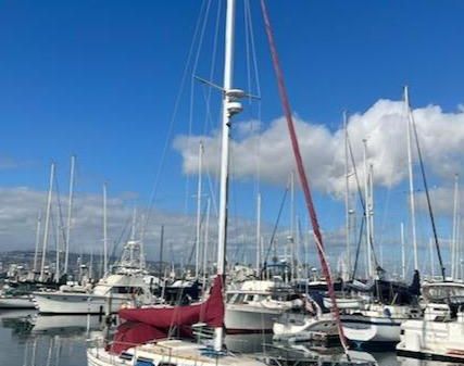 Catalina 36