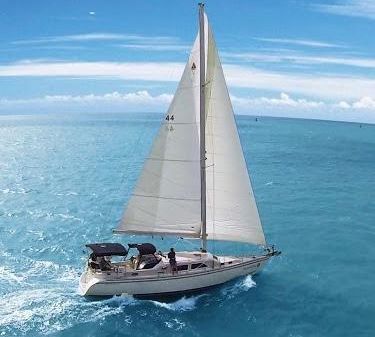 Catalina Morgan 440