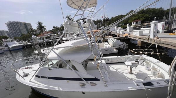 Bertram 31 Bahia Mar 