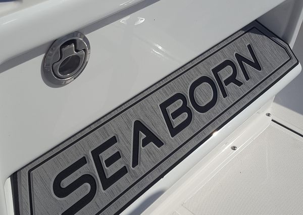 Sea-born FX22-BAY image