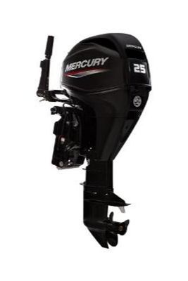 Mercury Fourstroke 25 hp EFI - main image