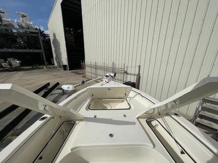 Shearwater 25 image